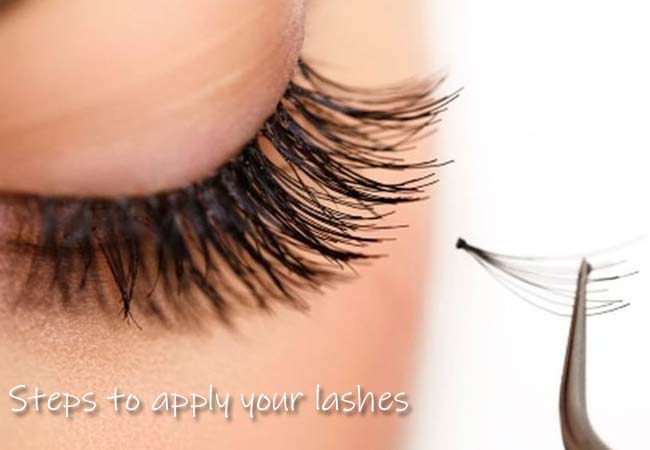 steps to apply your lashes